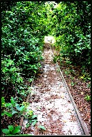 Plonsen - nr. 0178